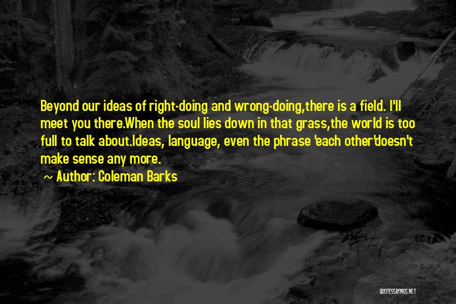 Coleman Barks Quotes: Beyond Our Ideas Of Right-doing And Wrong-doing,there Is A Field. I'll Meet You There.when The Soul Lies Down In That