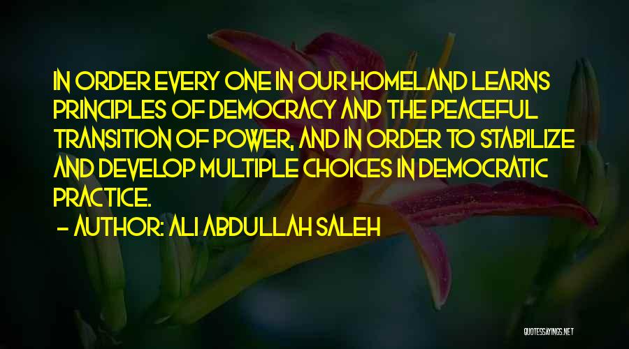 Ali Abdullah Saleh Quotes: In Order Every One In Our Homeland Learns Principles Of Democracy And The Peaceful Transition Of Power, And In Order