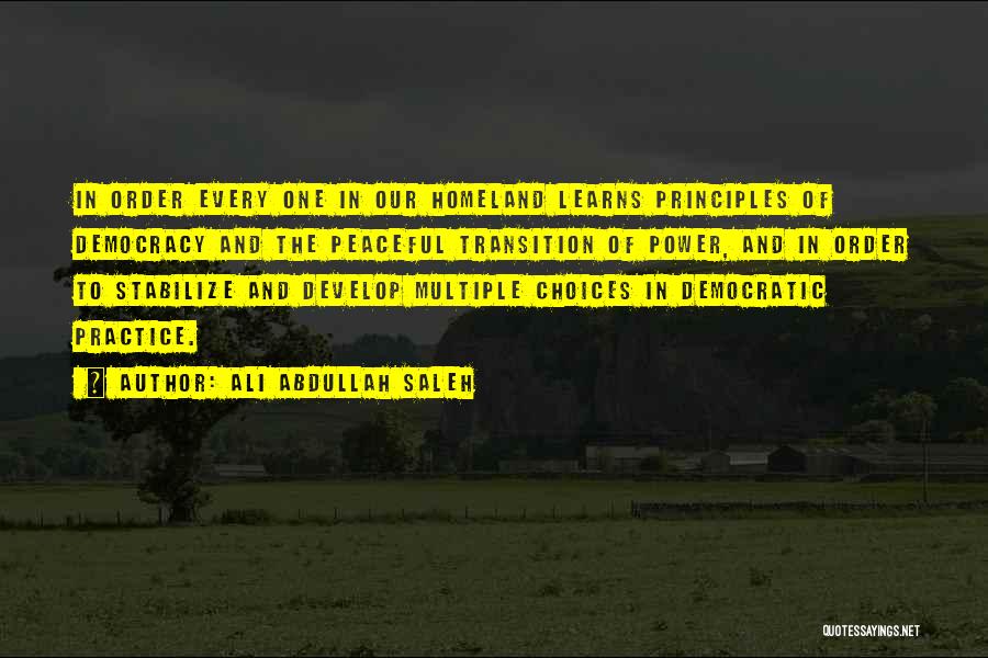 Ali Abdullah Saleh Quotes: In Order Every One In Our Homeland Learns Principles Of Democracy And The Peaceful Transition Of Power, And In Order