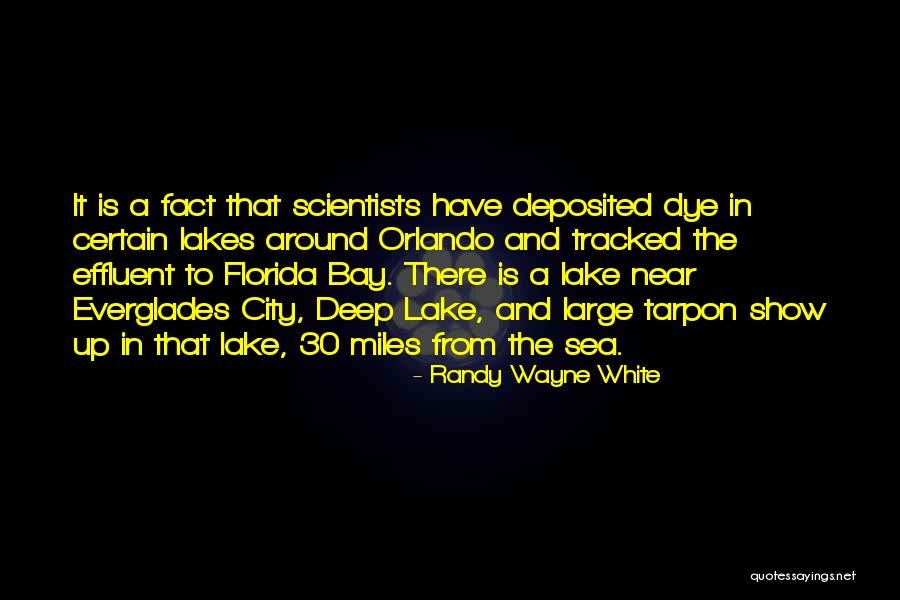 8 Miles Quotes By Randy Wayne White