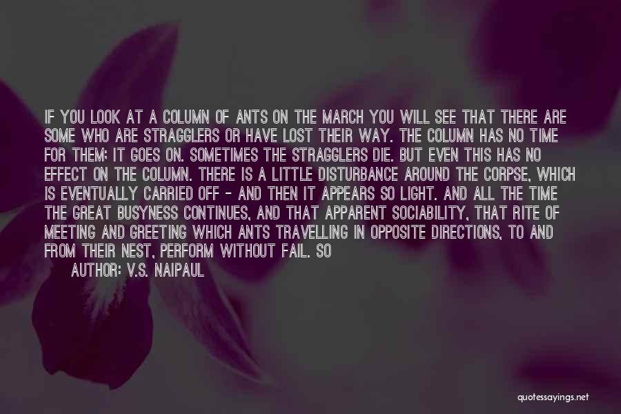 V.S. Naipaul Quotes: If You Look At A Column Of Ants On The March You Will See That There Are Some Who Are