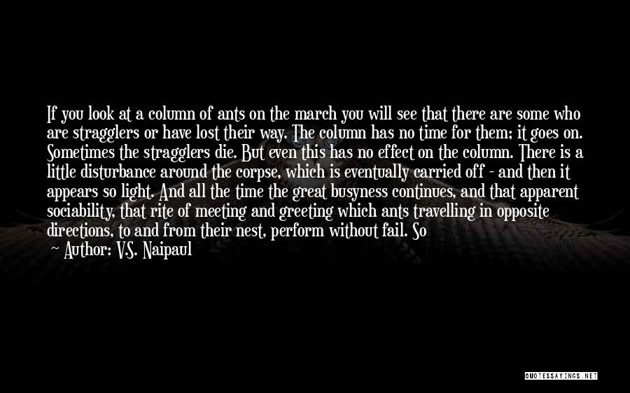 V.S. Naipaul Quotes: If You Look At A Column Of Ants On The March You Will See That There Are Some Who Are