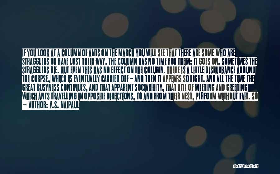 V.S. Naipaul Quotes: If You Look At A Column Of Ants On The March You Will See That There Are Some Who Are