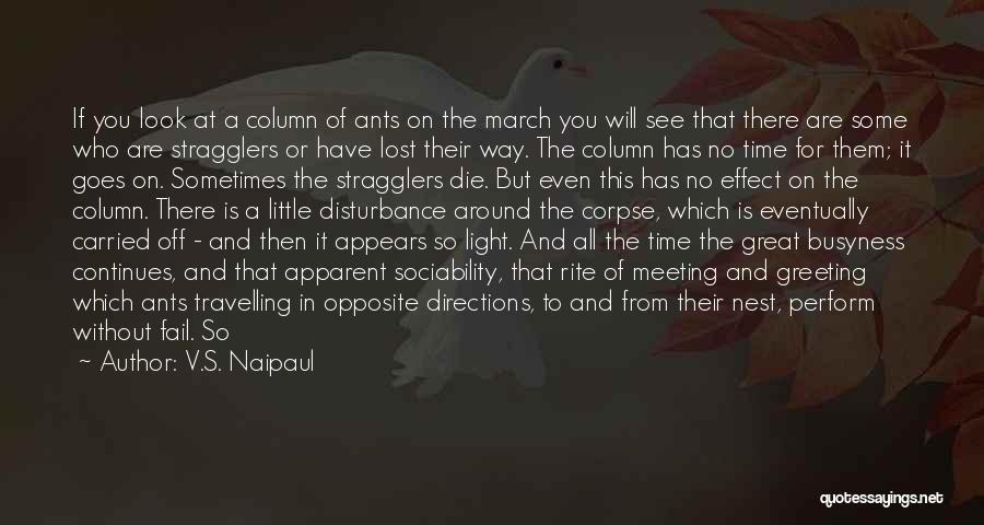 V.S. Naipaul Quotes: If You Look At A Column Of Ants On The March You Will See That There Are Some Who Are