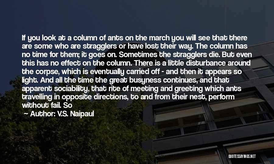 V.S. Naipaul Quotes: If You Look At A Column Of Ants On The March You Will See That There Are Some Who Are