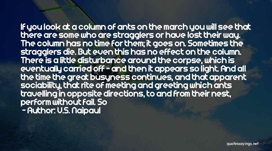 V.S. Naipaul Quotes: If You Look At A Column Of Ants On The March You Will See That There Are Some Who Are