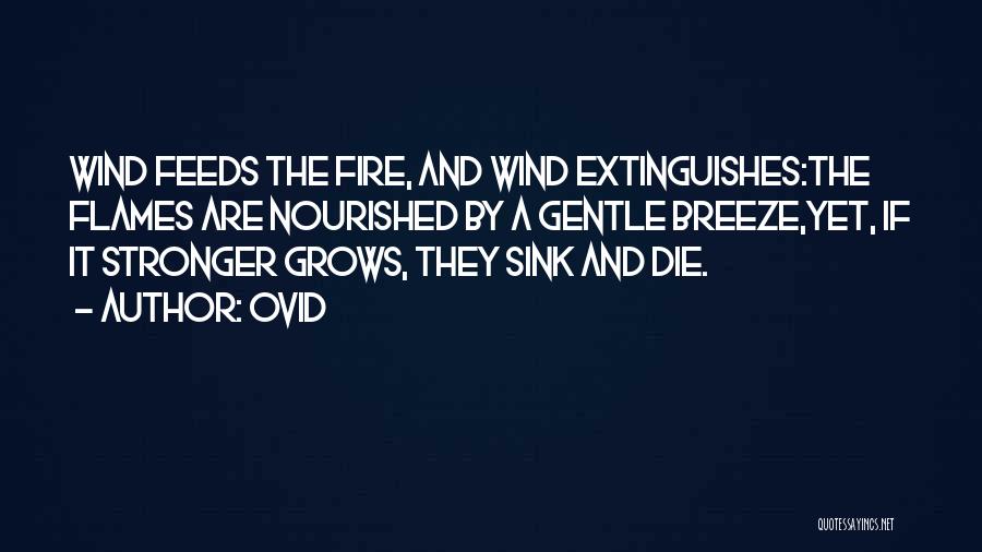 Ovid Quotes: Wind Feeds The Fire, And Wind Extinguishes:the Flames Are Nourished By A Gentle Breeze,yet, If It Stronger Grows, They Sink