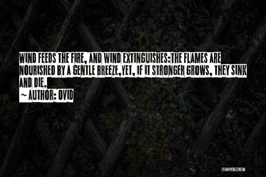 Ovid Quotes: Wind Feeds The Fire, And Wind Extinguishes:the Flames Are Nourished By A Gentle Breeze,yet, If It Stronger Grows, They Sink