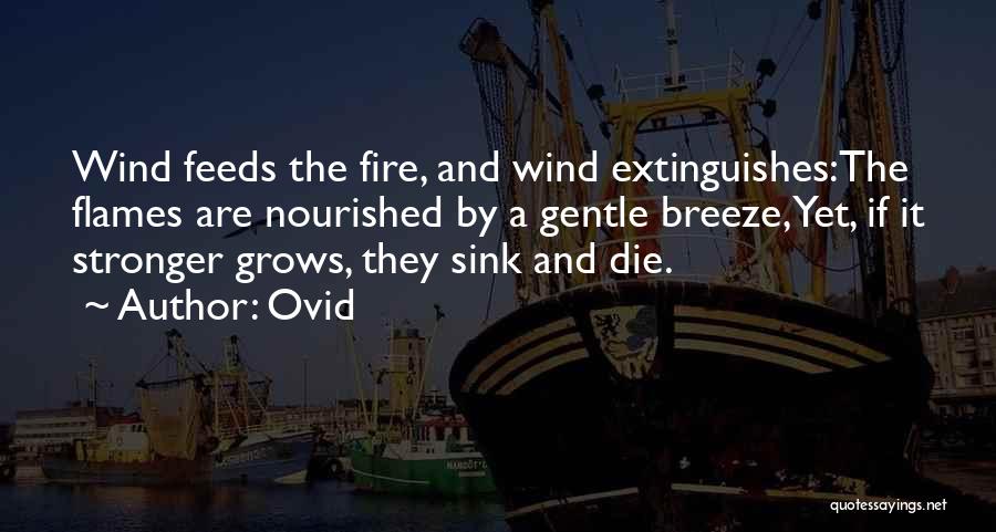 Ovid Quotes: Wind Feeds The Fire, And Wind Extinguishes:the Flames Are Nourished By A Gentle Breeze,yet, If It Stronger Grows, They Sink