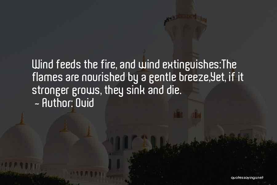 Ovid Quotes: Wind Feeds The Fire, And Wind Extinguishes:the Flames Are Nourished By A Gentle Breeze,yet, If It Stronger Grows, They Sink