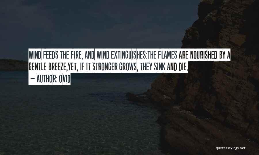 Ovid Quotes: Wind Feeds The Fire, And Wind Extinguishes:the Flames Are Nourished By A Gentle Breeze,yet, If It Stronger Grows, They Sink