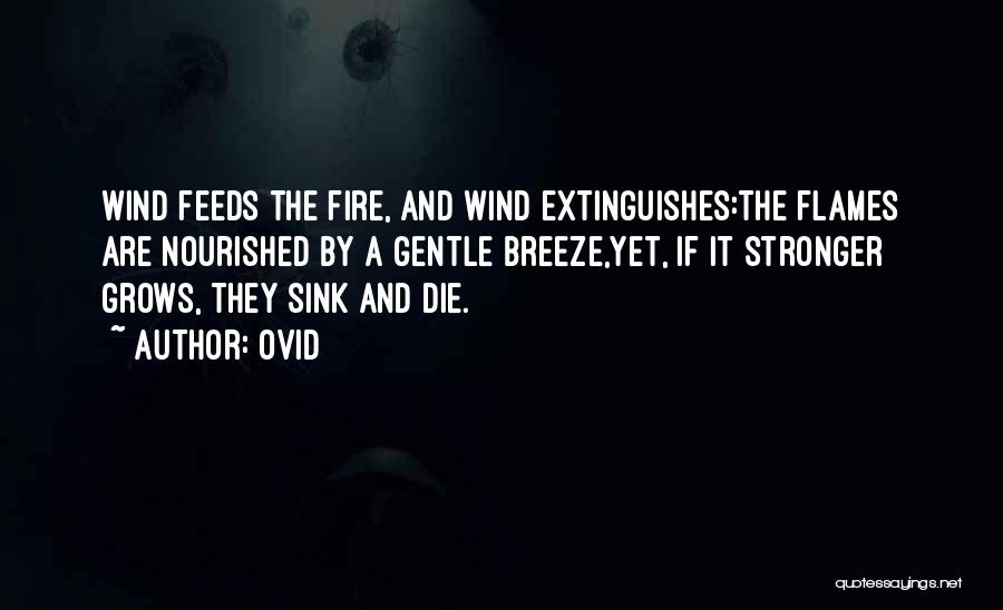 Ovid Quotes: Wind Feeds The Fire, And Wind Extinguishes:the Flames Are Nourished By A Gentle Breeze,yet, If It Stronger Grows, They Sink