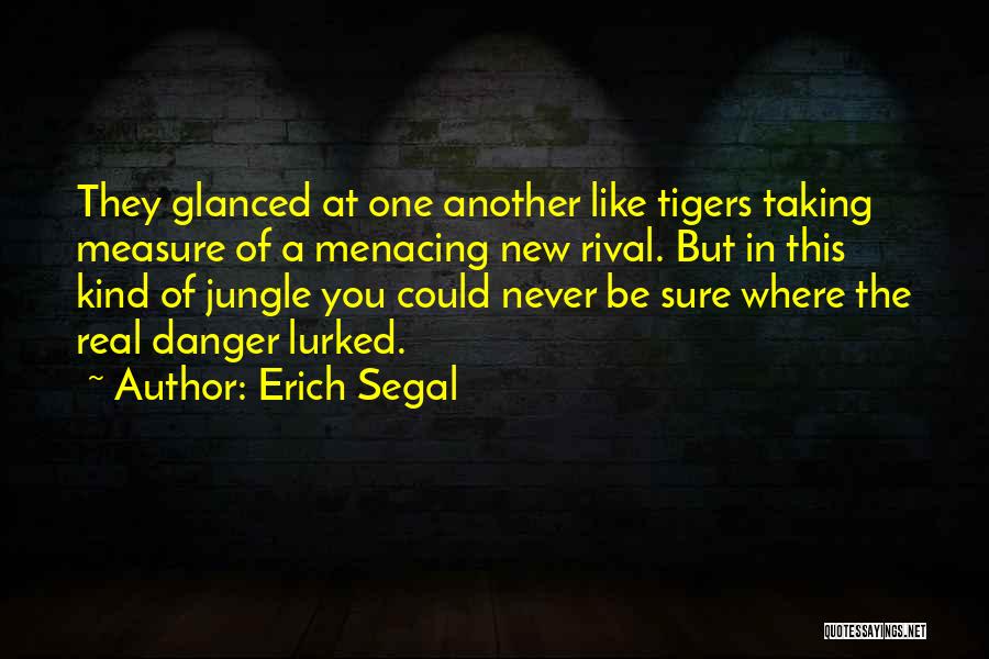 Erich Segal Quotes: They Glanced At One Another Like Tigers Taking Measure Of A Menacing New Rival. But In This Kind Of Jungle