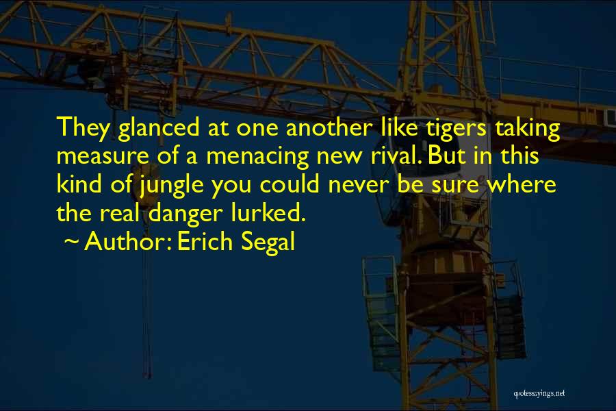 Erich Segal Quotes: They Glanced At One Another Like Tigers Taking Measure Of A Menacing New Rival. But In This Kind Of Jungle