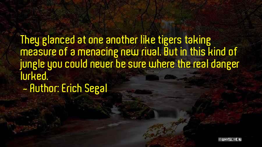 Erich Segal Quotes: They Glanced At One Another Like Tigers Taking Measure Of A Menacing New Rival. But In This Kind Of Jungle