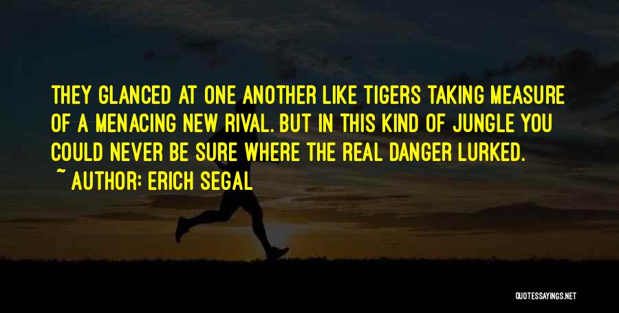 Erich Segal Quotes: They Glanced At One Another Like Tigers Taking Measure Of A Menacing New Rival. But In This Kind Of Jungle