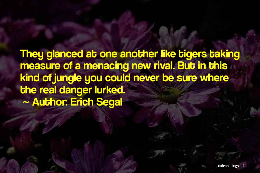 Erich Segal Quotes: They Glanced At One Another Like Tigers Taking Measure Of A Menacing New Rival. But In This Kind Of Jungle