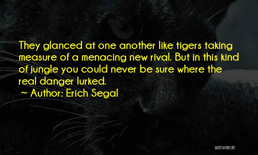 Erich Segal Quotes: They Glanced At One Another Like Tigers Taking Measure Of A Menacing New Rival. But In This Kind Of Jungle