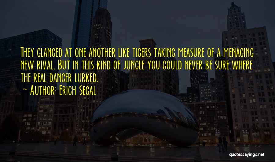 Erich Segal Quotes: They Glanced At One Another Like Tigers Taking Measure Of A Menacing New Rival. But In This Kind Of Jungle