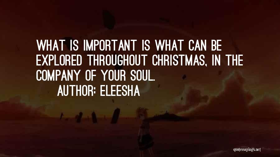 Eleesha Quotes: What Is Important Is What Can Be Explored Throughout Christmas, In The Company Of Your Soul.