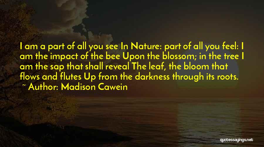 Madison Cawein Quotes: I Am A Part Of All You See In Nature: Part Of All You Feel: I Am The Impact Of