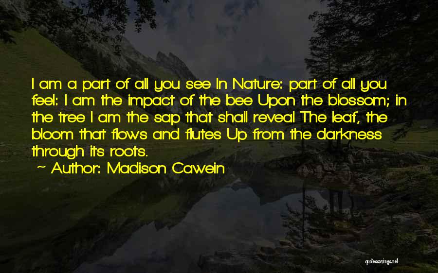 Madison Cawein Quotes: I Am A Part Of All You See In Nature: Part Of All You Feel: I Am The Impact Of