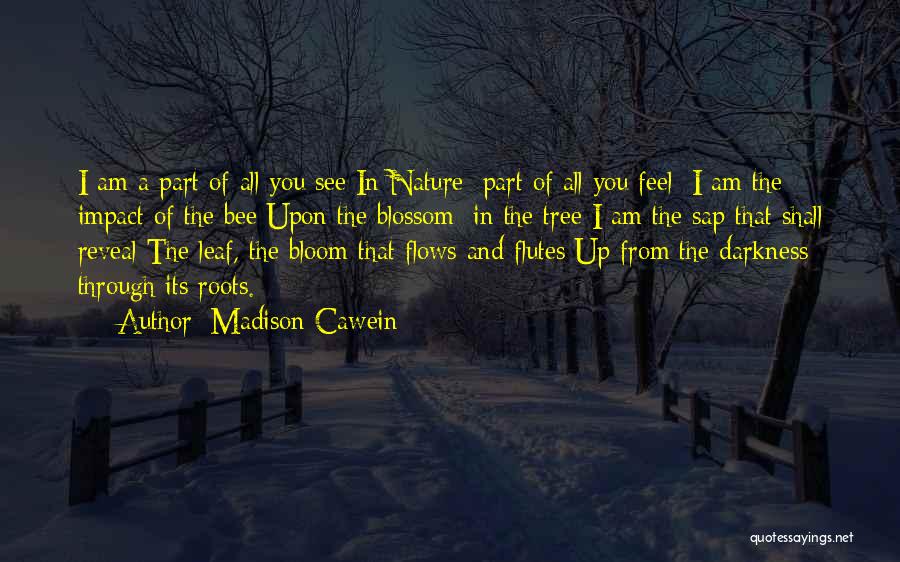 Madison Cawein Quotes: I Am A Part Of All You See In Nature: Part Of All You Feel: I Am The Impact Of