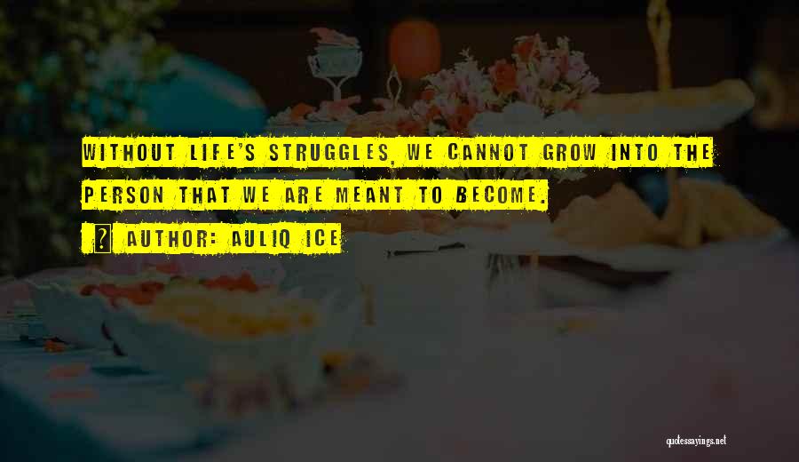 Auliq Ice Quotes: Without Life's Struggles, We Cannot Grow Into The Person That We Are Meant To Become.