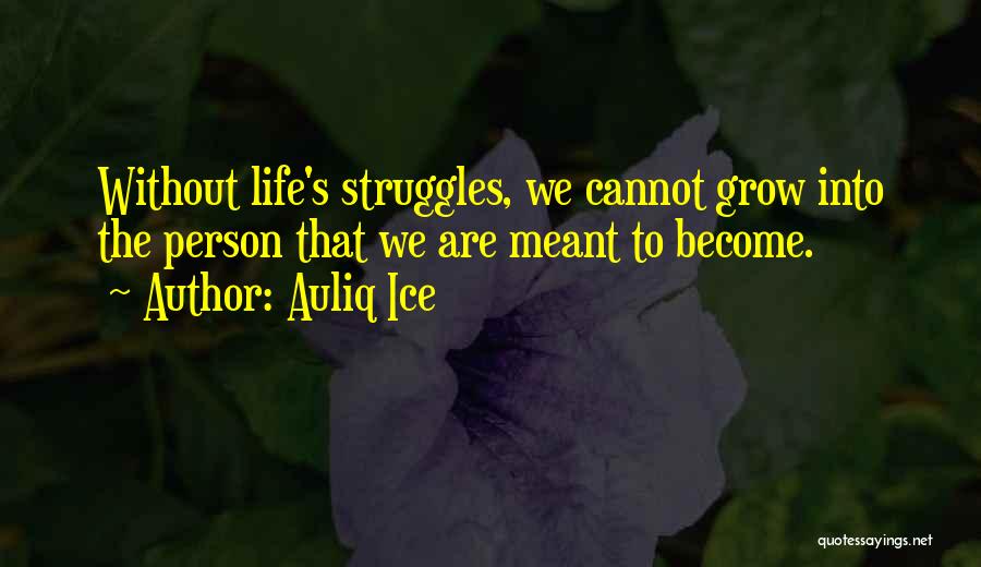 Auliq Ice Quotes: Without Life's Struggles, We Cannot Grow Into The Person That We Are Meant To Become.