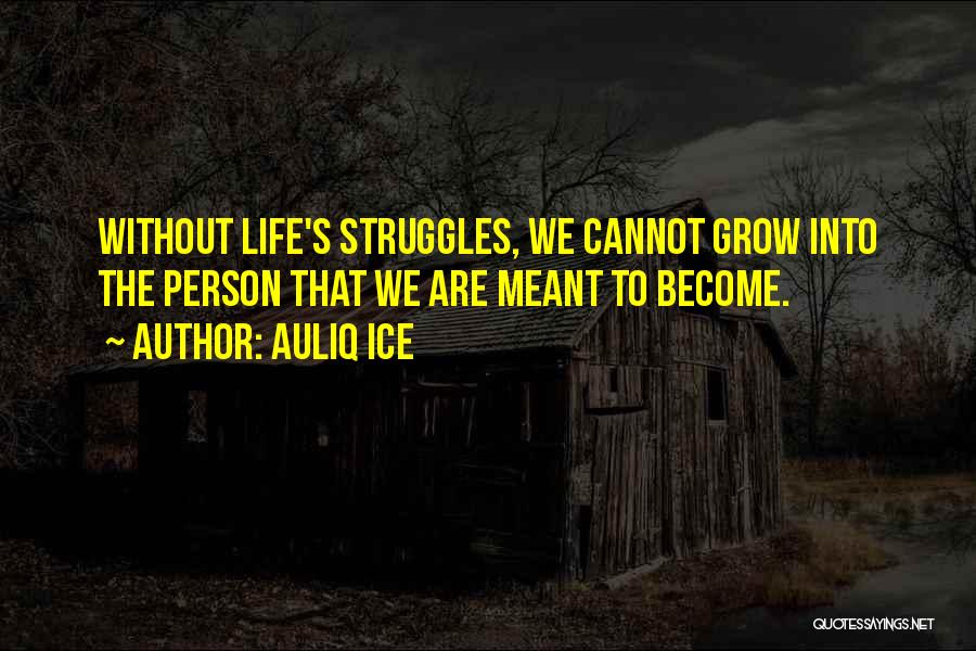 Auliq Ice Quotes: Without Life's Struggles, We Cannot Grow Into The Person That We Are Meant To Become.