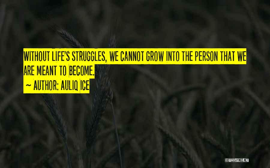 Auliq Ice Quotes: Without Life's Struggles, We Cannot Grow Into The Person That We Are Meant To Become.