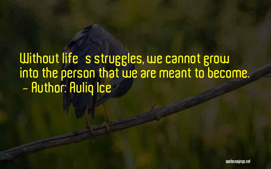 Auliq Ice Quotes: Without Life's Struggles, We Cannot Grow Into The Person That We Are Meant To Become.