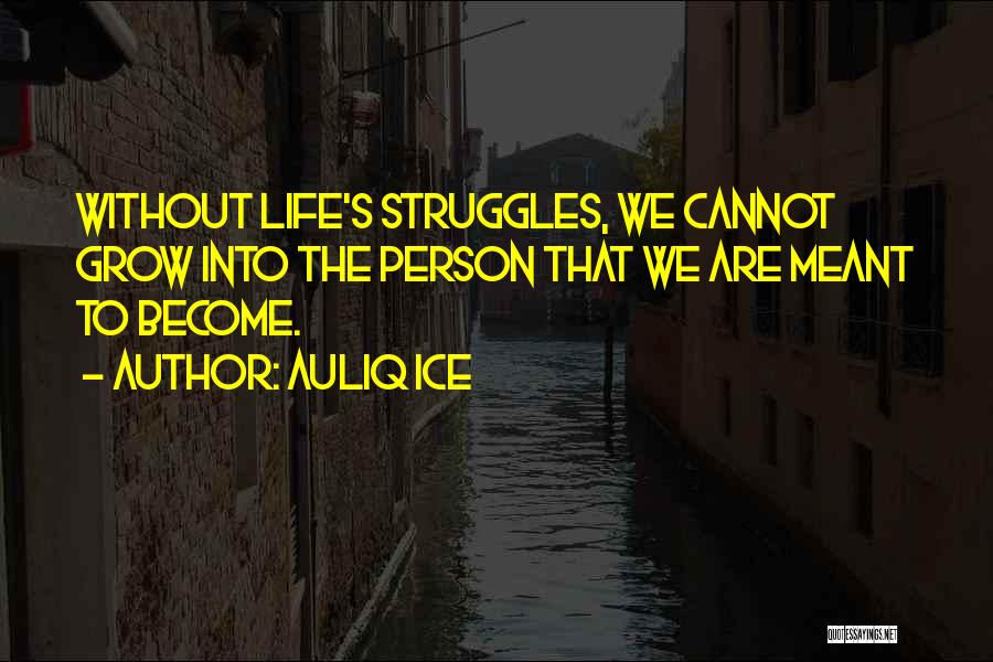 Auliq Ice Quotes: Without Life's Struggles, We Cannot Grow Into The Person That We Are Meant To Become.