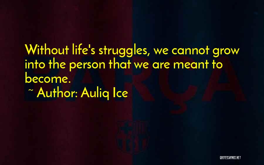 Auliq Ice Quotes: Without Life's Struggles, We Cannot Grow Into The Person That We Are Meant To Become.