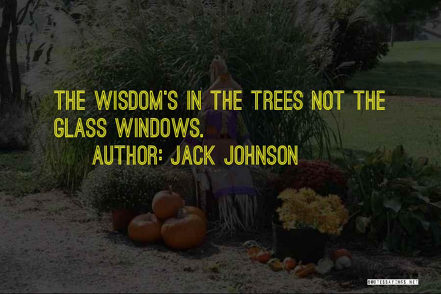 Jack Johnson Quotes: The Wisdom's In The Trees Not The Glass Windows.