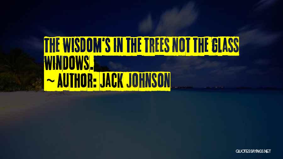 Jack Johnson Quotes: The Wisdom's In The Trees Not The Glass Windows.