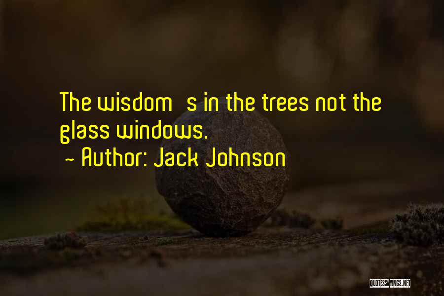 Jack Johnson Quotes: The Wisdom's In The Trees Not The Glass Windows.