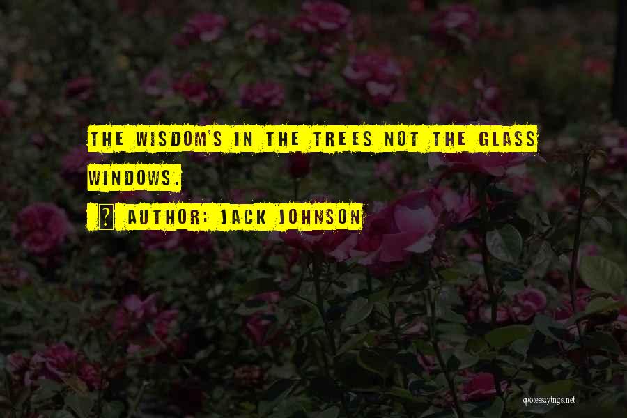 Jack Johnson Quotes: The Wisdom's In The Trees Not The Glass Windows.