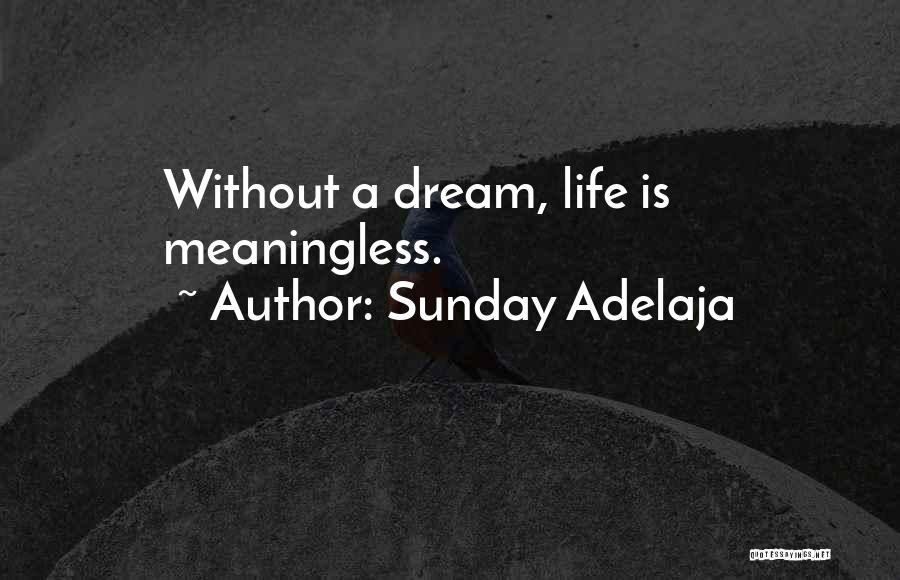 Sunday Adelaja Quotes: Without A Dream, Life Is Meaningless.