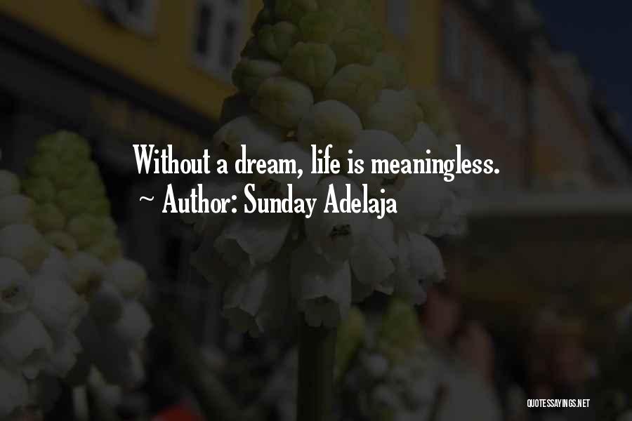 Sunday Adelaja Quotes: Without A Dream, Life Is Meaningless.