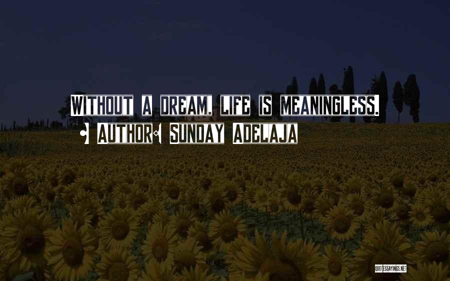 Sunday Adelaja Quotes: Without A Dream, Life Is Meaningless.