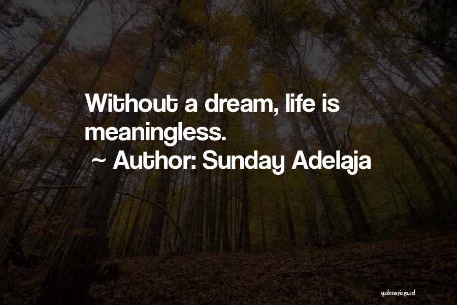 Sunday Adelaja Quotes: Without A Dream, Life Is Meaningless.