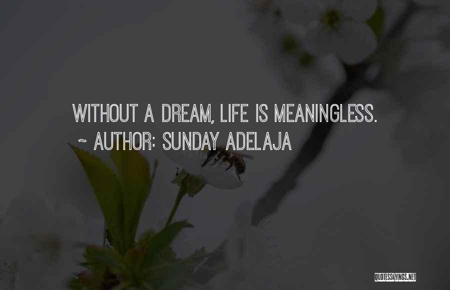 Sunday Adelaja Quotes: Without A Dream, Life Is Meaningless.