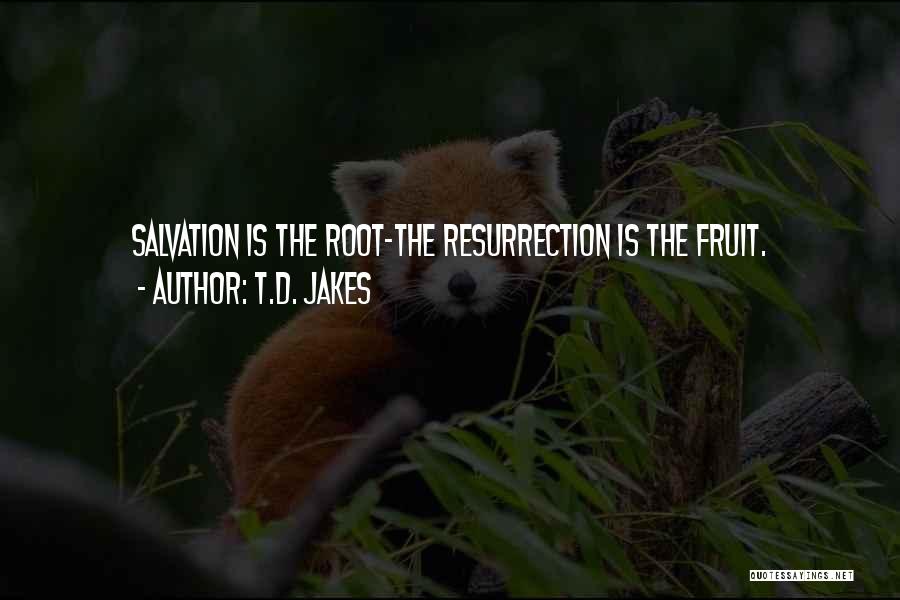 T.D. Jakes Quotes: Salvation Is The Root-the Resurrection Is The Fruit.