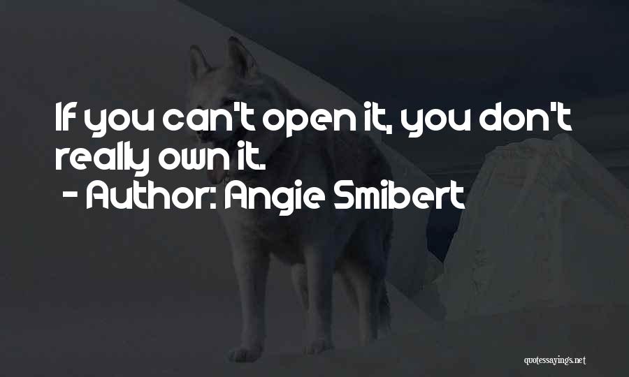 Angie Smibert Quotes: If You Can't Open It, You Don't Really Own It.