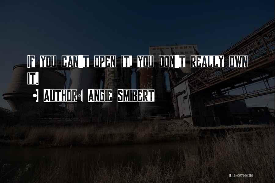 Angie Smibert Quotes: If You Can't Open It, You Don't Really Own It.