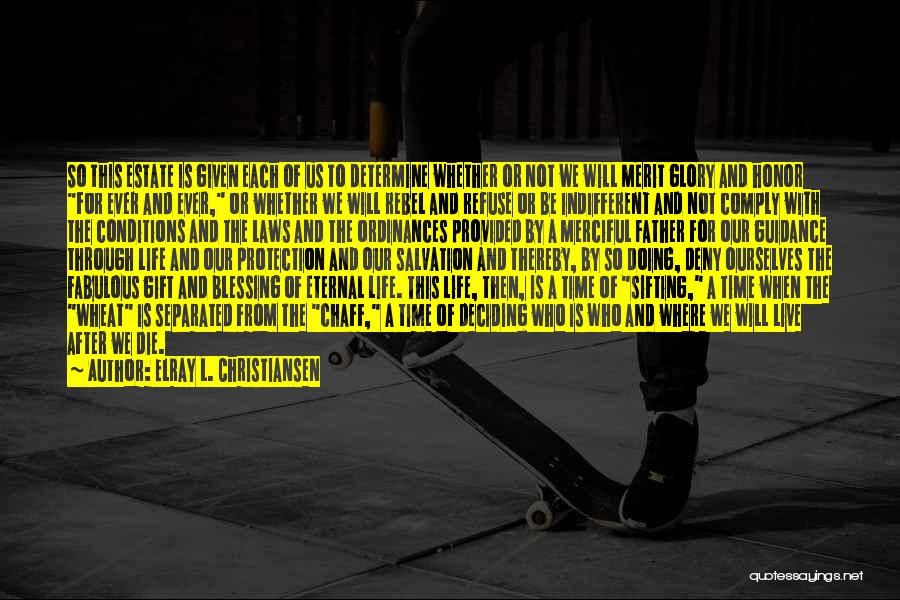 ElRay L. Christiansen Quotes: So This Estate Is Given Each Of Us To Determine Whether Or Not We Will Merit Glory And Honor For