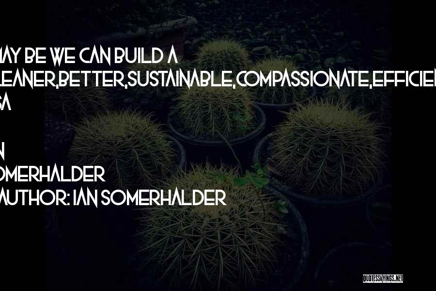 Ian Somerhalder Quotes: ~may Be We Can Build A Cleaner,better,sustainable,compassionate,efficient Usa ~ Ian Somerhalder
