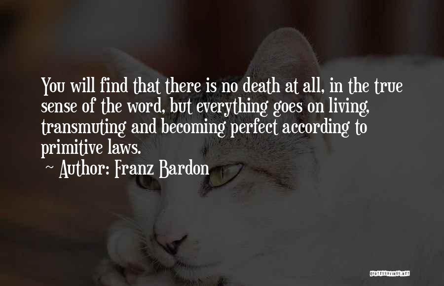 Franz Bardon Quotes: You Will Find That There Is No Death At All, In The True Sense Of The Word, But Everything Goes