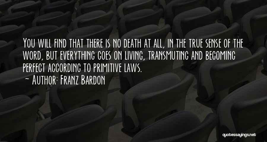 Franz Bardon Quotes: You Will Find That There Is No Death At All, In The True Sense Of The Word, But Everything Goes